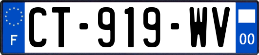 CT-919-WV