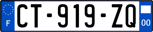 CT-919-ZQ