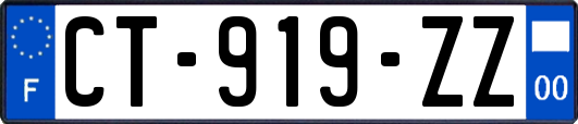 CT-919-ZZ