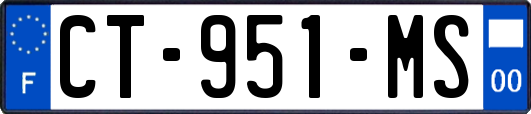 CT-951-MS