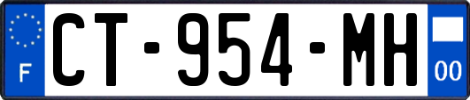 CT-954-MH