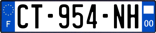 CT-954-NH