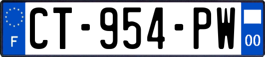 CT-954-PW
