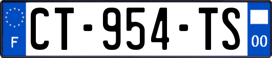 CT-954-TS
