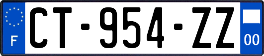 CT-954-ZZ