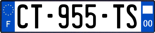 CT-955-TS