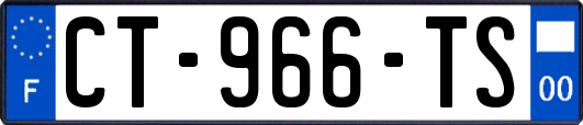 CT-966-TS