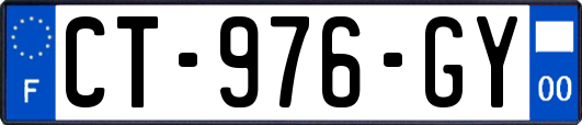 CT-976-GY