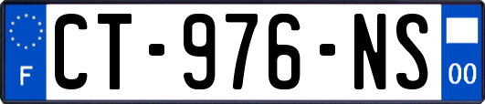 CT-976-NS