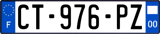 CT-976-PZ