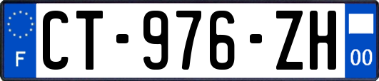 CT-976-ZH