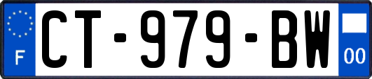 CT-979-BW