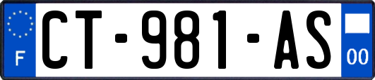 CT-981-AS