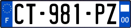 CT-981-PZ