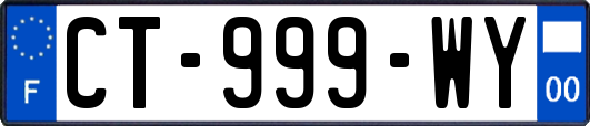 CT-999-WY