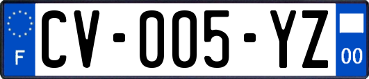 CV-005-YZ