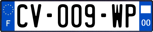 CV-009-WP