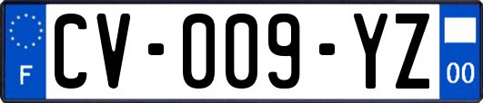 CV-009-YZ