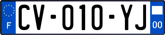 CV-010-YJ