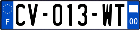 CV-013-WT