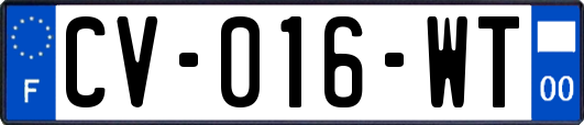CV-016-WT