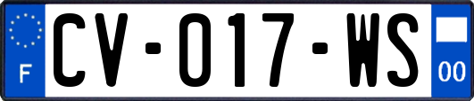 CV-017-WS