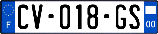 CV-018-GS