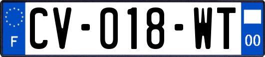 CV-018-WT