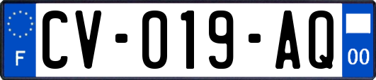 CV-019-AQ