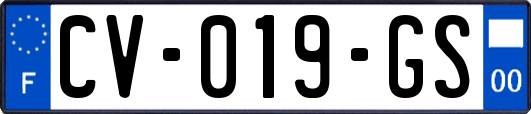 CV-019-GS