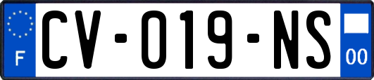 CV-019-NS