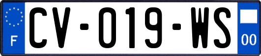 CV-019-WS