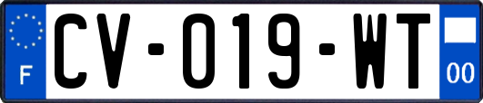 CV-019-WT
