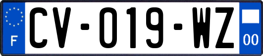 CV-019-WZ