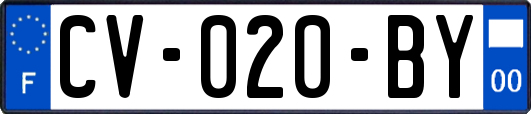 CV-020-BY