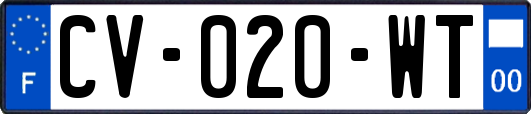 CV-020-WT