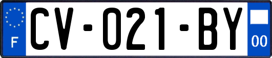 CV-021-BY