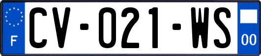 CV-021-WS