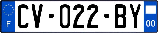 CV-022-BY