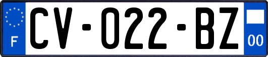 CV-022-BZ