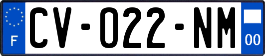 CV-022-NM