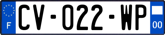 CV-022-WP