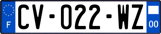 CV-022-WZ