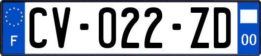 CV-022-ZD