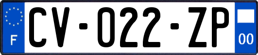 CV-022-ZP