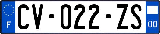 CV-022-ZS