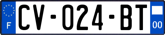 CV-024-BT