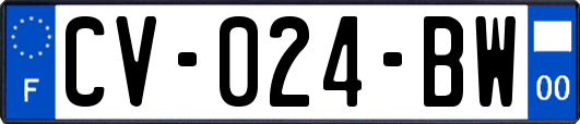 CV-024-BW