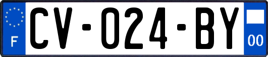 CV-024-BY