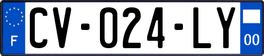 CV-024-LY